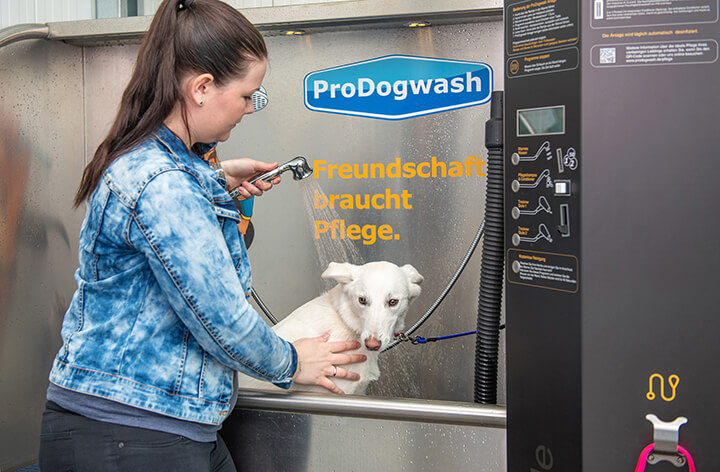 Hundewaschbox in action